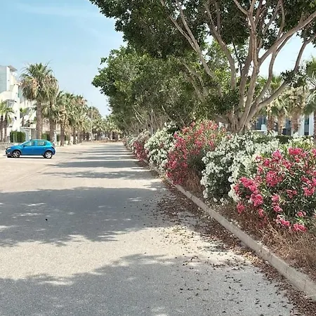 Casa Noyas Oasis Guardamar del Segura